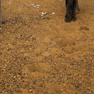 Meet your Posher, Mrs